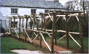 Pergola made from chestnut