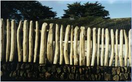 Wide Picket Fence