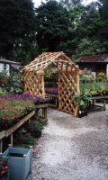 Picket Fencing Surrounding the Orchard at the Eden Project