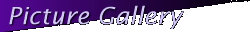 Picture Gallery