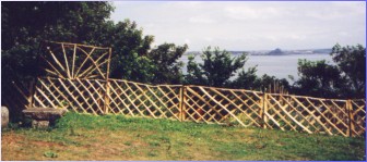 Trellis Fencing