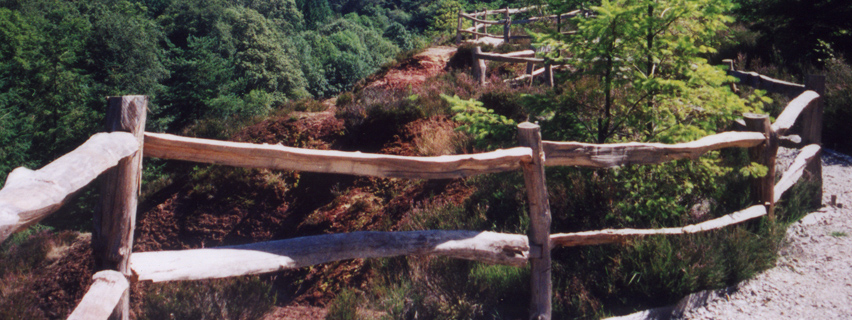 Tamar Valley Post and Rail