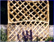 Large Large Trellis