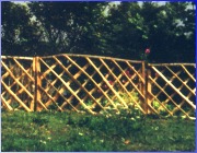 Trellis Fencing